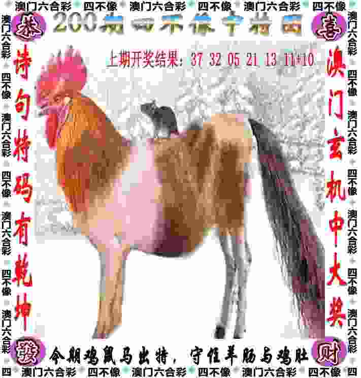 韩梅获速滑全能世锦赛个人最好名次